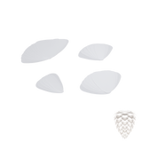 2019LP05A