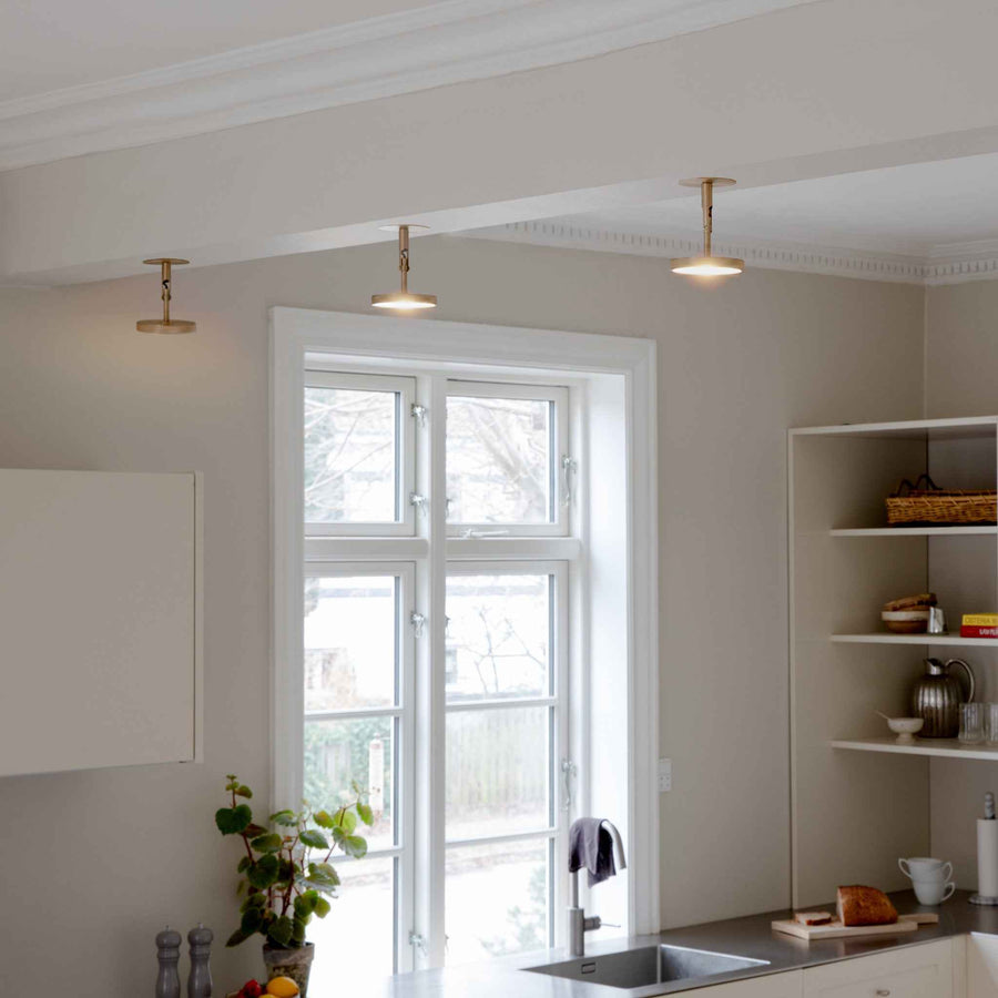 Asteria Spot | wall/ceiling lamp